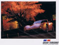 Gran Turismo 4 Picture Set (New)